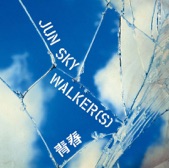 JUN SKY WALKER(S) - 青春