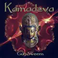 Son of Krishna