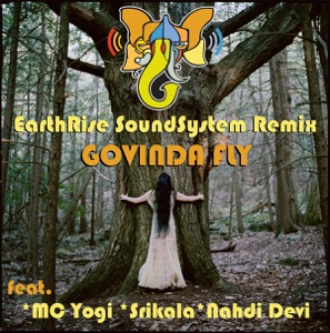 Govinda Fly Remix - Single