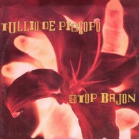 Stop Bajon (Primavera)