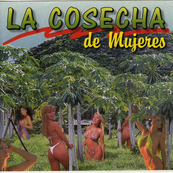La Cosecha de Mujeres