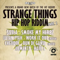 Strange Things Hip Hop (Pt. 2) - EP - Irie Ites