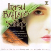 Paddy O'Gorman - Paddy's Green Shamrock Shore