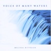 The Water I Give