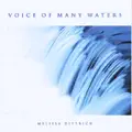 The Water I Give