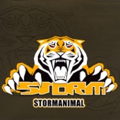 Storm Animal (Radio Mix) artwork