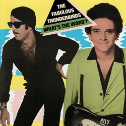 The Fabulous Thunderbirds - Runnin' Shoes