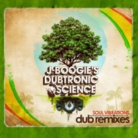 Soul Vibrations (Dub Remixes) - J Boogie's Dubtronic Science