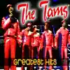 The Tams - What Kind of Fool (Do You Think I Am) [Re-Recorded]