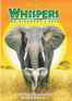 Whispers: An Elephant's Tale - Dereck Joubert new Single