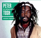 Les indispensables : Peter Tosh artwork