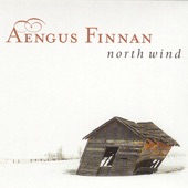Aengus Finnan - One Hand On the Radio