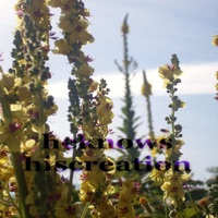 Heknows Hiscreation (Creative House Music) - Single - Paduraru