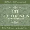 Serenade In D Major for Flute, Violin & Viola, Op. 25: I. Entrata
