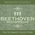 Serenade In D Major for Flute, Violin & Viola, Op. 25: I. Entrata