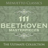 111 Beethoven Masterpieces artwork