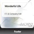 Wonderful Life