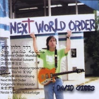 Next World Order - David Gibbs