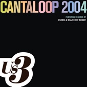 Cantaloop 2004 (Remixes) - Single artwork