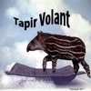 Tapir Volant