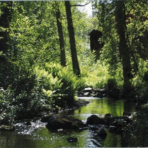 Crystal Heights