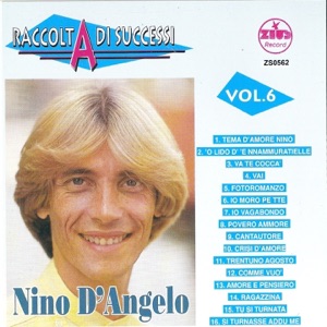 Raccolta di successi, vol. 6 (The Best of Nino D'Angelo Collection)
