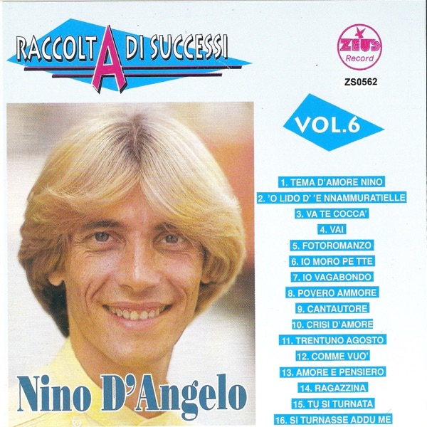 Raccolta di successi, vol. 6 (The Best of Nino D'Angelo Collection)