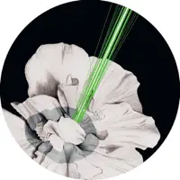 Innervoice (Isolée Remix) — Onur Özer