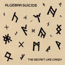 Algebra Suicide - (A Proverbial Explanation For) Why No Action Is Taken