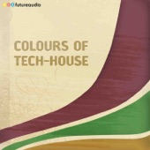 Colours of  Tech-House, Vol. 08 (Minimal and Progressive House Anthems) artwork