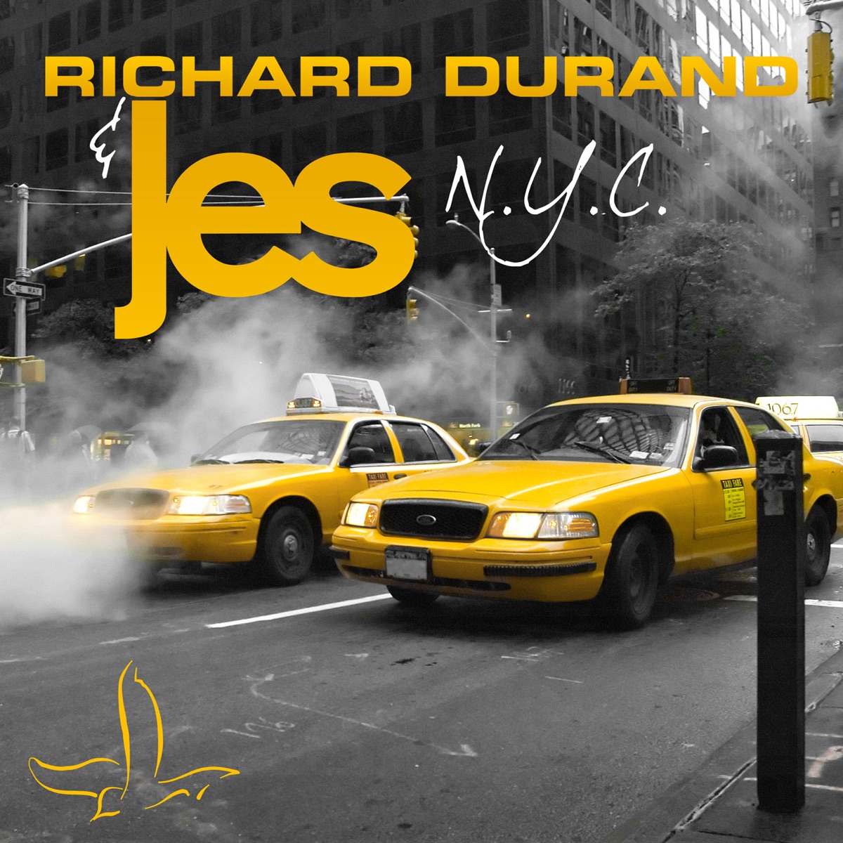 Cover du titre N.Y.C. (Coco Channel Radio Edit)
