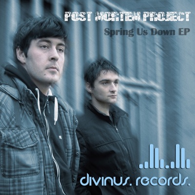 Raindrops (Original Mix)