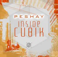 Satisfy My Love — Peshay Vs. Flytronix