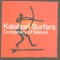 A Mercator Projection - Kalahari Surfers lyrics
