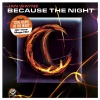 Jan Wayne - Because the Night (Radio Edit)