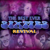 The Best Ever Sixties Revival (Re-Recorded Versions) artwork
