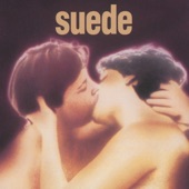 Suede - Animal Nitrate