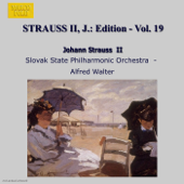 Electro-Magnetische Polka, Op. 110