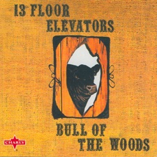 13th Floor Elevators - Till Then