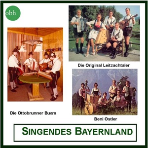Zwoa Sterndl