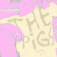 The Pigs - General Election