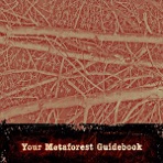 Your Metaforest Guidebook