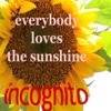 インコグニート - Everybody Loves the Sunshine
