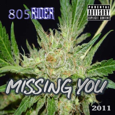 Missing You - Single
