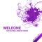 Meleone (Marco Fender Remix) - Coeter One lyrics
