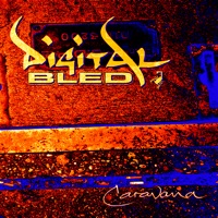 Digital Bled - Cairo Bar