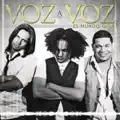 Voz A Voz