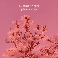 The Sun — Summer Heart