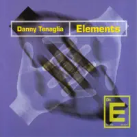 Elements - the Chant — Danny Tenaglia