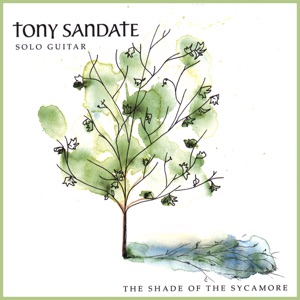 The Shade of the Sycamore